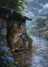 恵みの雨